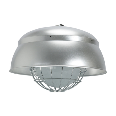 Lampes alimentaires à LED IP66 pour la production de farine et de particules fines
