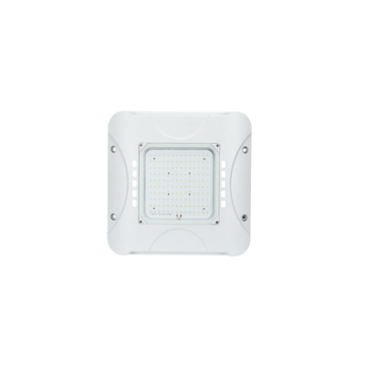 auvent antidéflagrant de 80W LED allumant le logement en aluminium IP66