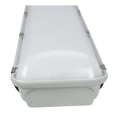 CE SAA 600mm LED lumière étanche à la vapeur Tri-Proof LED réglette d'éclairage de secours